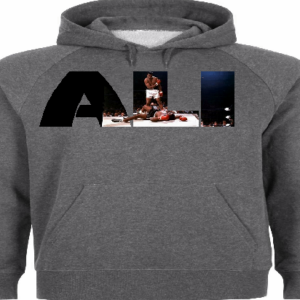 "ALI" ~ Hoodie In Gray