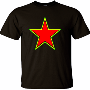 "BLACK STAR" TEE ~ In Black